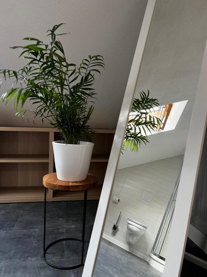 Stay!Apart Gieckau Naumburg  Ngoại thất bức ảnh
